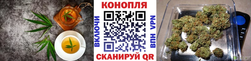 Купить закладки  Всеволожск  Cannafood марихуана 