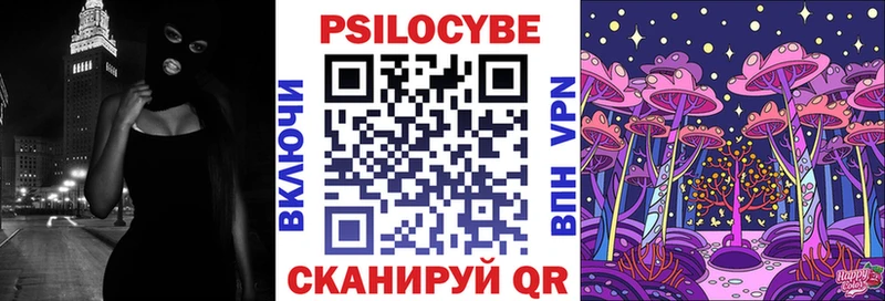 Галлюциногенные грибы Psilocybe  Купить закладки  Всеволожск 